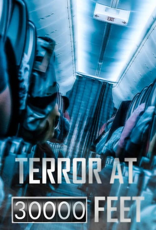 Terror at 30000 Feet (2024) poster