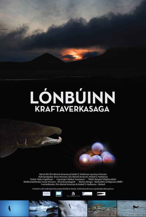 Lónbúinn - Kraftaverkasaga (2012) poster