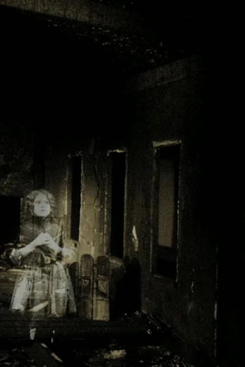 Palimpsest (2008) poster