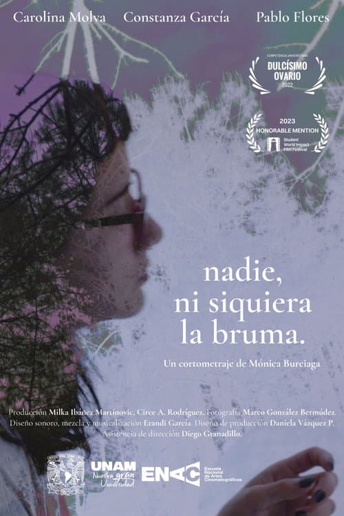Nadie, ni siquiera la bruma (2022) poster