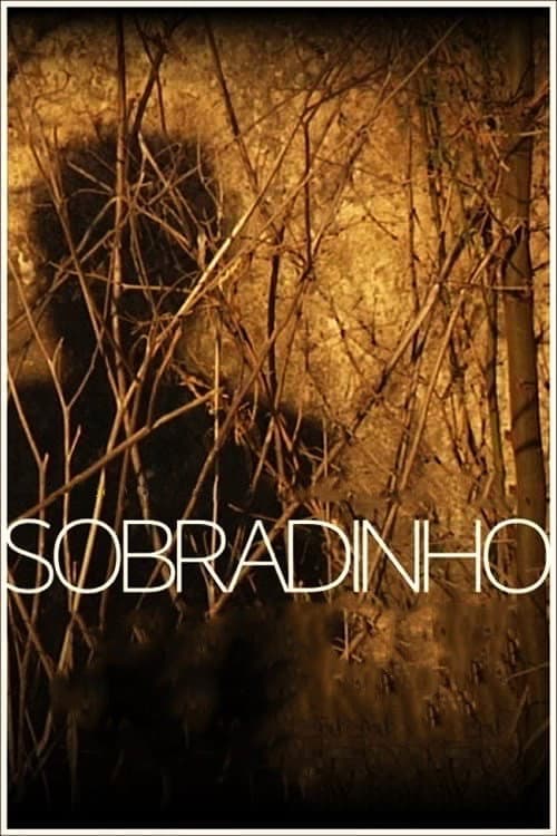 Sobradinho (2020) poster