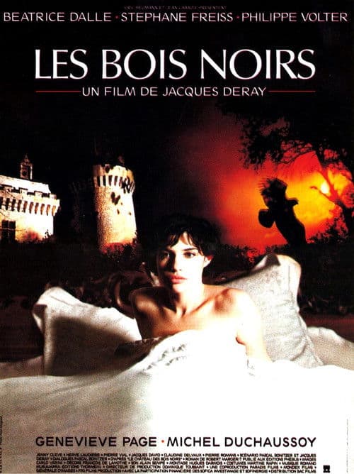 Les Bois noirs (1989) poster
