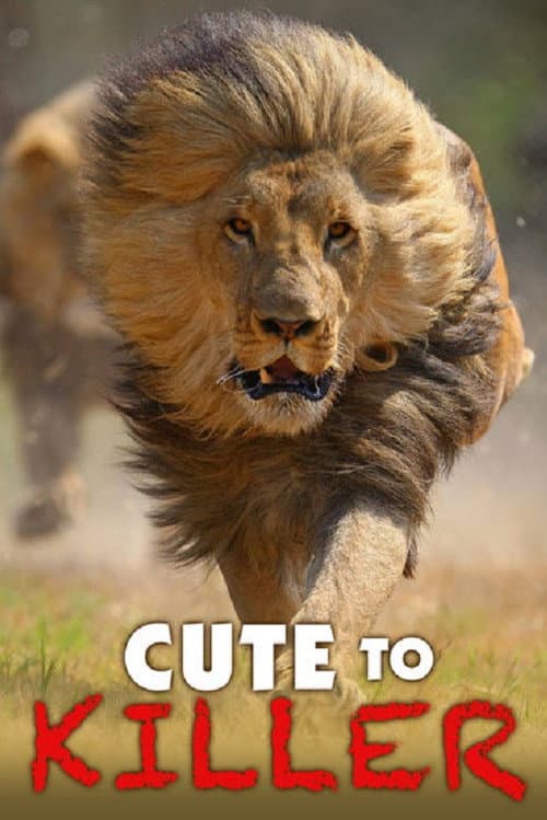 Cute to Killer (2014) poster