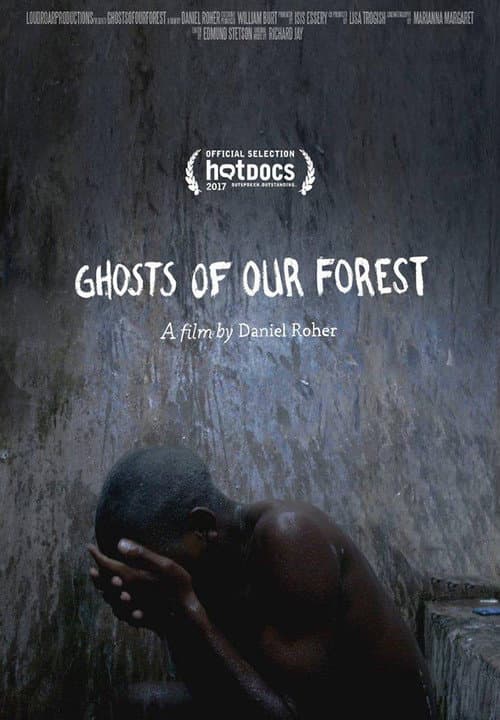 Ghosts of Our Forest (2017) poster