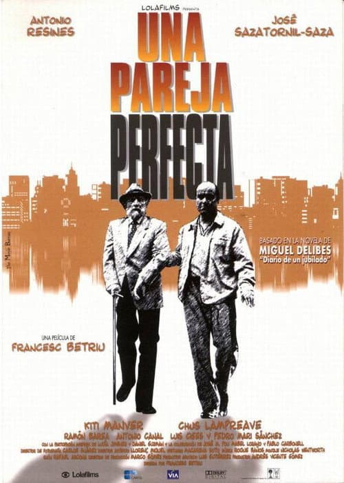 Una pareja perfecta (1998) poster