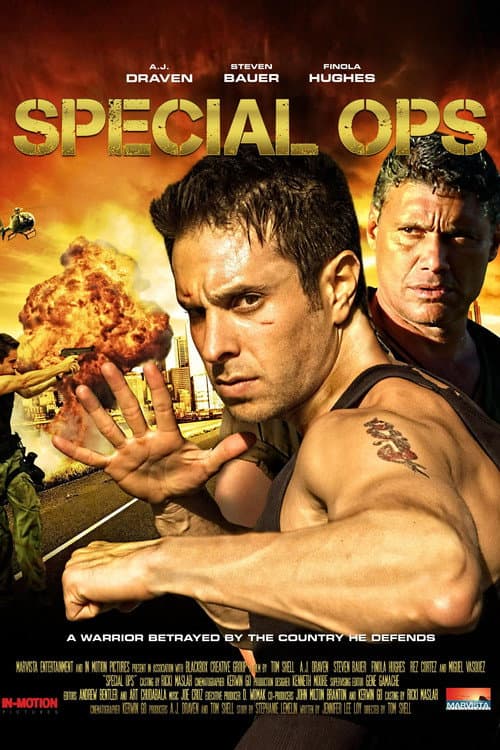 Special Ops (2010) poster