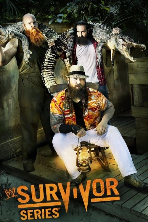 WWE Survivor Series 2013 (2013) poster