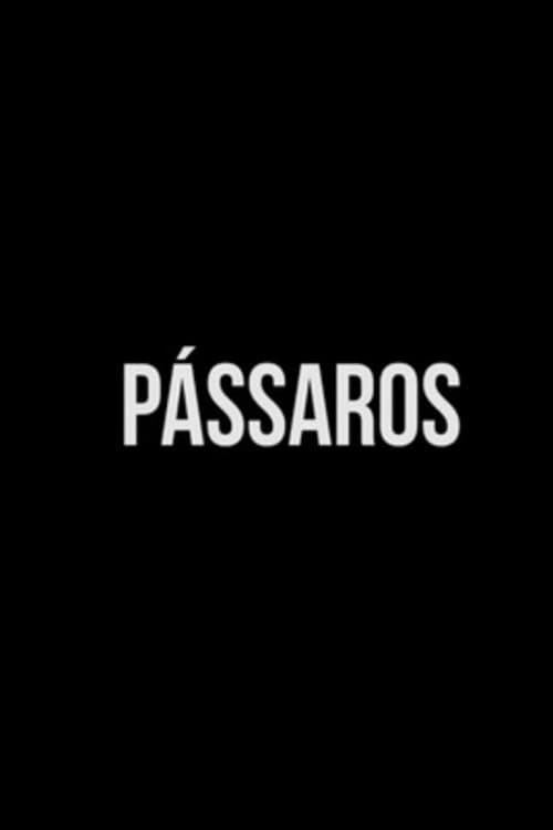 Pássaros (2019) poster