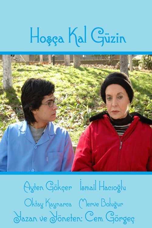 Hoşça Kal Güzin (2008) poster
