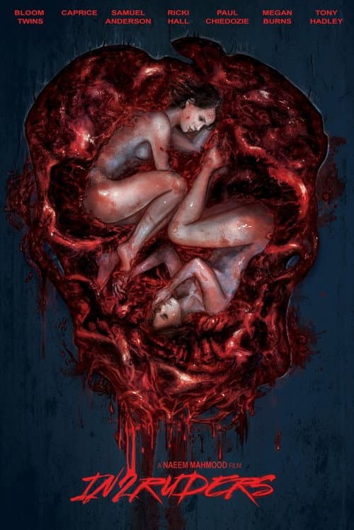 In2ruders (2018) poster