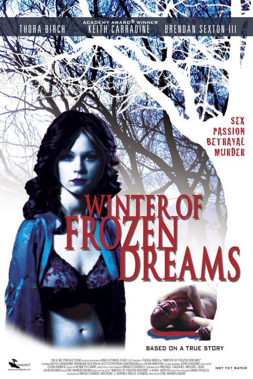 Winter of Frozen Dreams (2009) poster