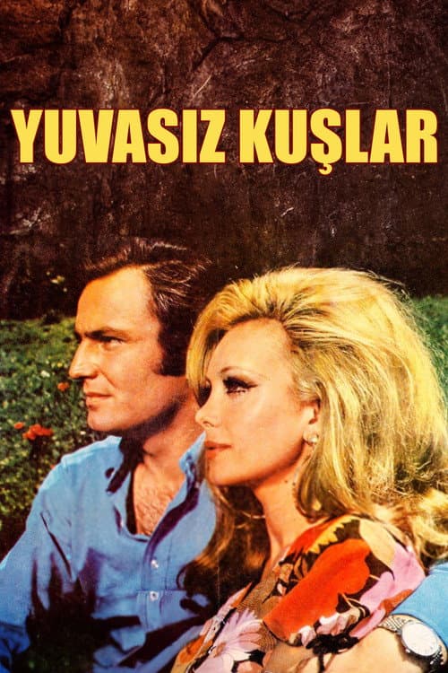 Yuvasız Kuşlar (1970) poster