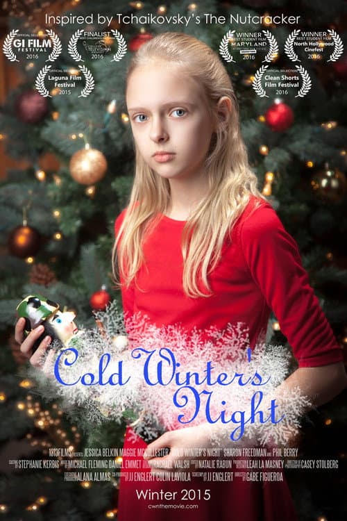 Cold Winter's Night (2015) poster