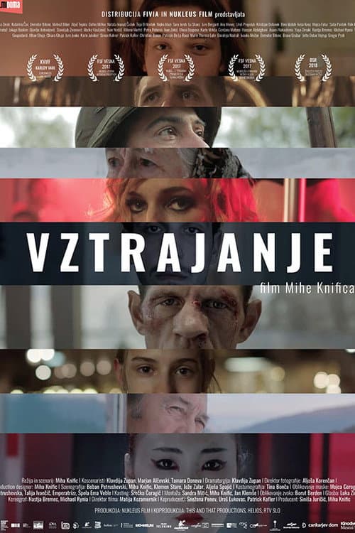 Vztrajanje (2017) poster