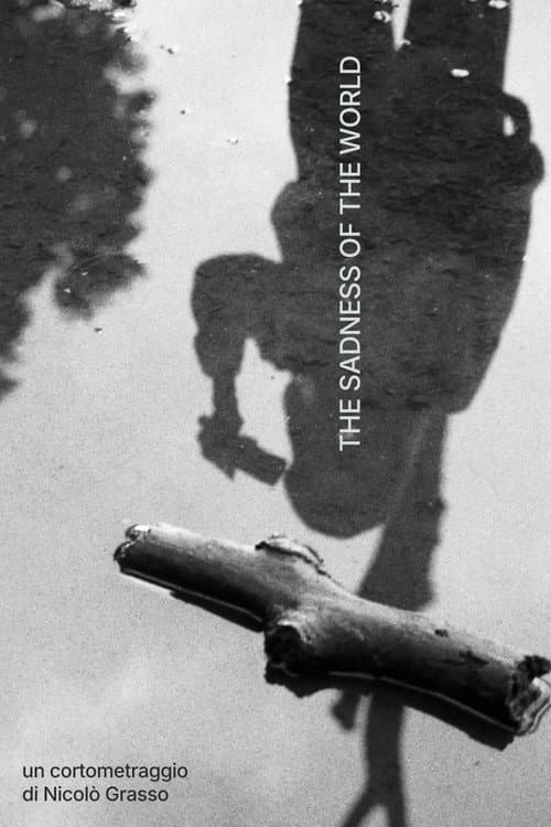 The Sadness of the World (2026) poster