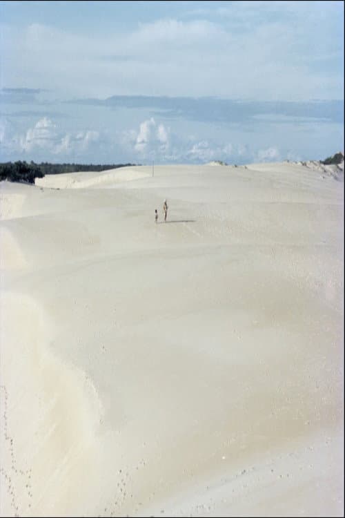 Itaúnas: Desastre Ecológico (1979) poster