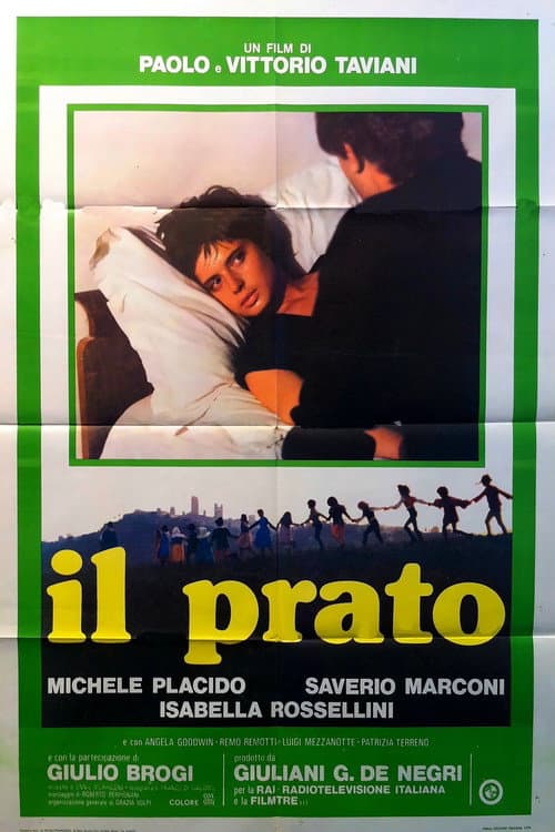 Il prato (1979) poster