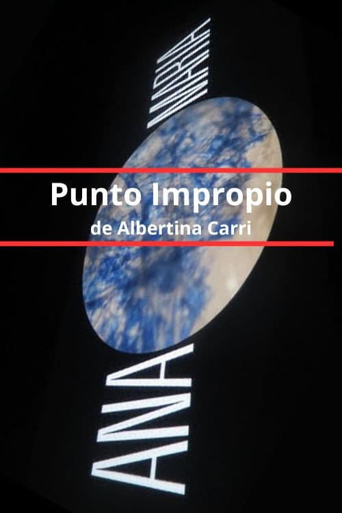 Punto Impropio (2015) poster
