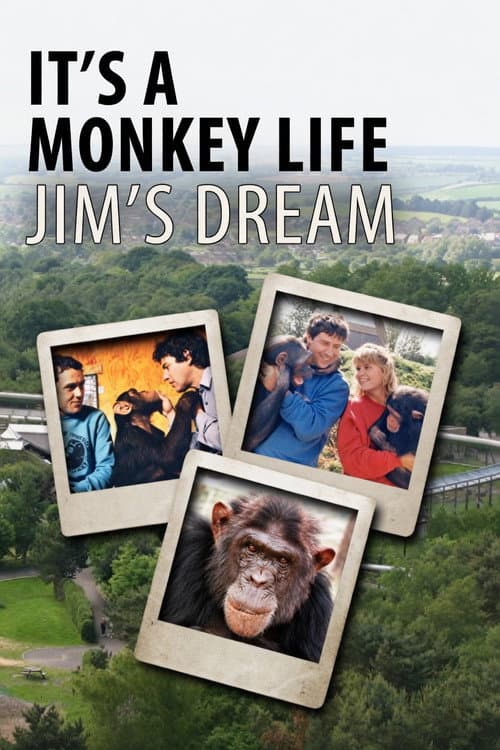It's a Monkey Life: Jim's Dream (2017) poster