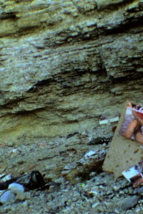 Those Inescapable Slivers of Celluloid (2011) poster