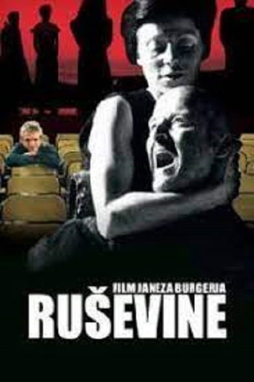 Ruševine (2005) poster