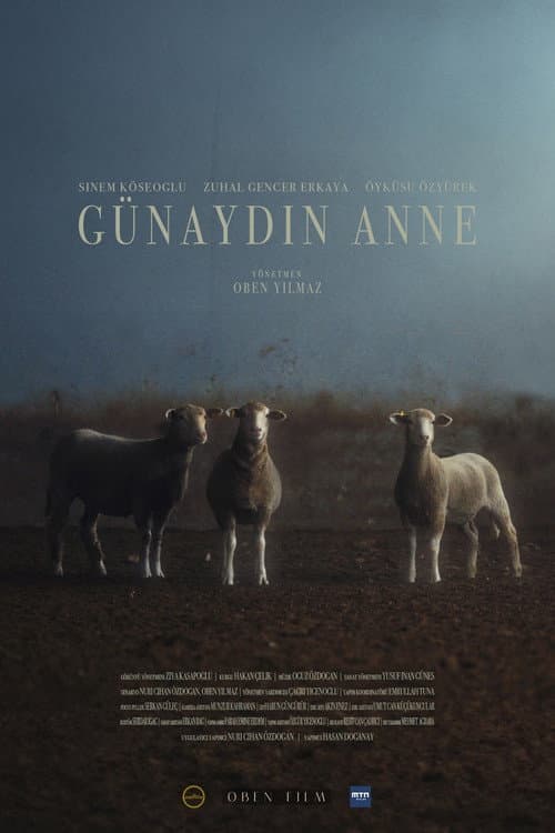 Günaydın Anne (2024) poster