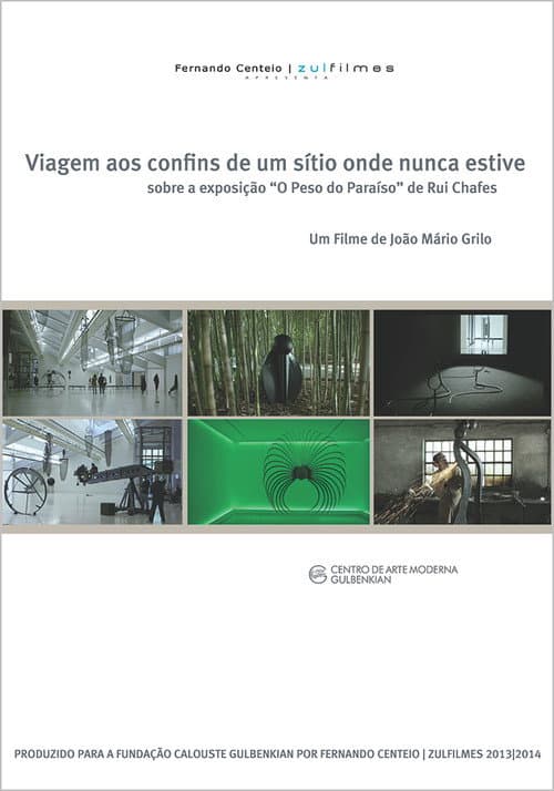 Viagem aos Confins de um Sítio Onde Nunca Estive (2014) poster