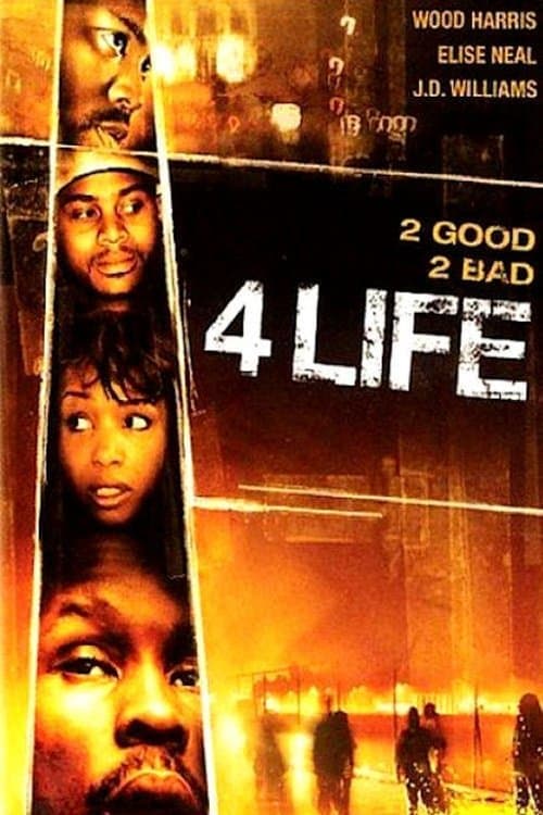 4 Life (2007) poster