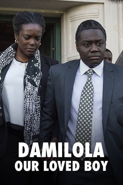 Damilola, Our Loved Boy (2016) poster