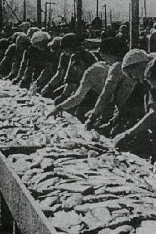 Silfur hafsins (1987) poster