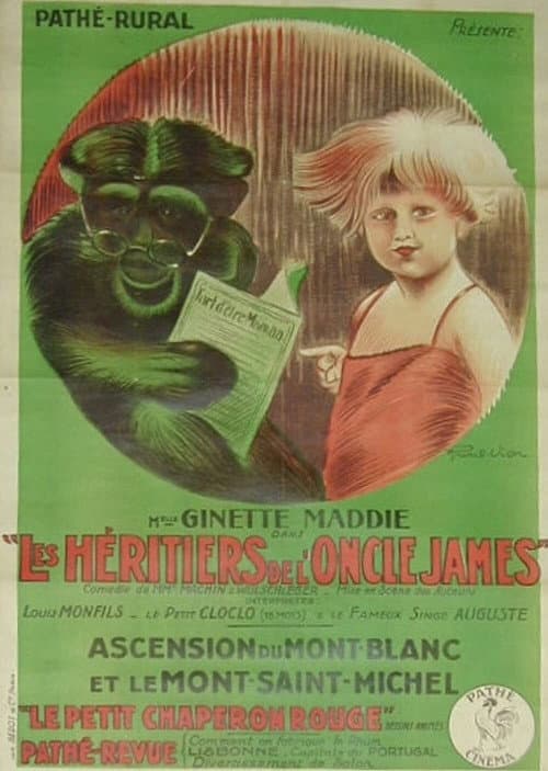 Les héritiers de l'oncle James (1924) poster