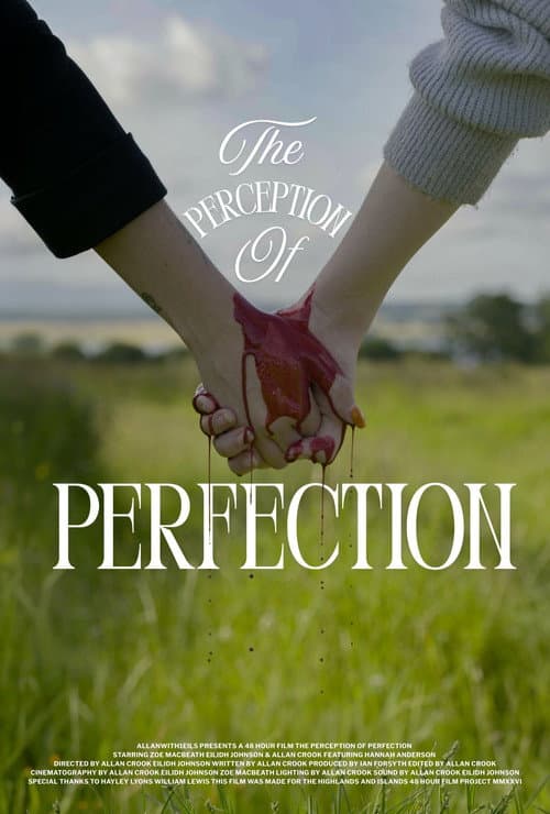 The Perception of Perfection (2026) poster