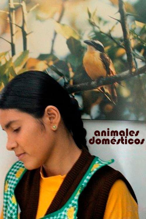 Animales Domésticos (2009) poster
