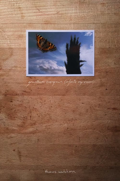 Grantham Overgrown (Infinite Regression) (2021) poster