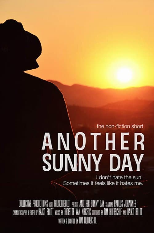 Another Sunny Day (2017) poster