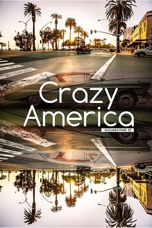 Crazy America (2017) poster