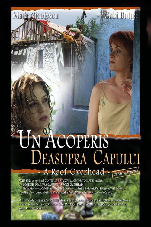 Un acoperiș deasupra capului (2006) poster