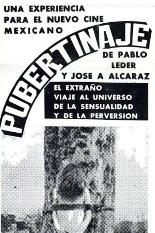 Pubertinaje (1978) poster