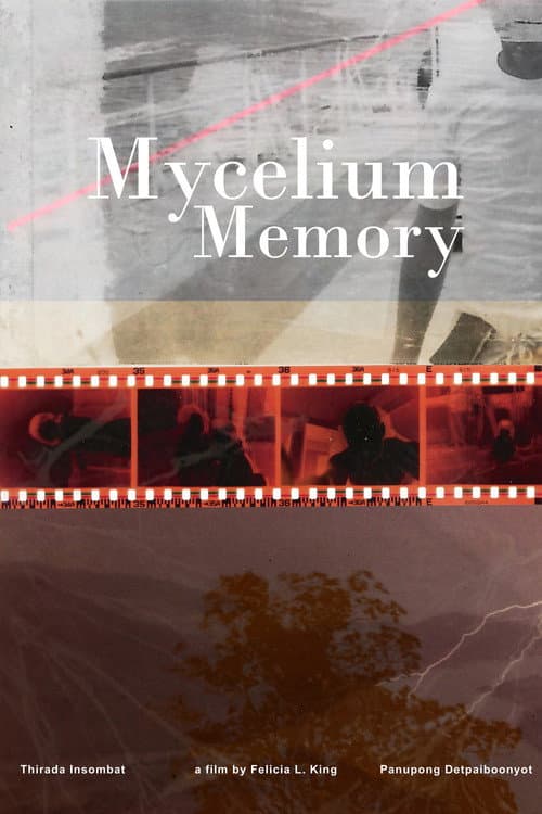 Mycelium Memory (2024) poster