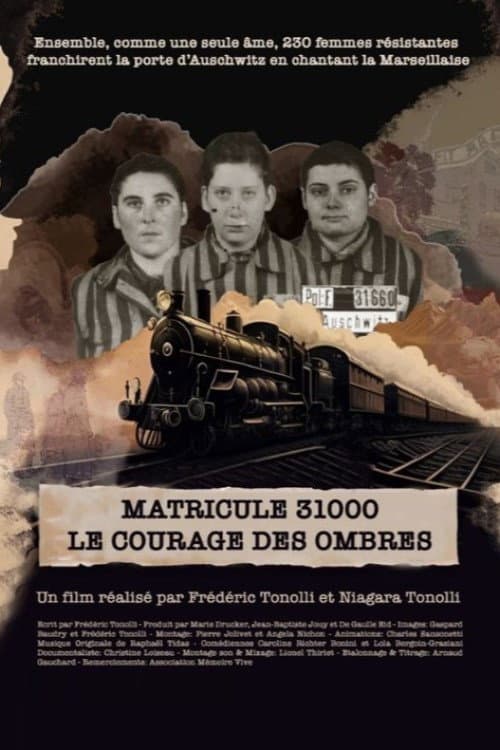 Matricule 31000, le courage des ombres (2023) poster