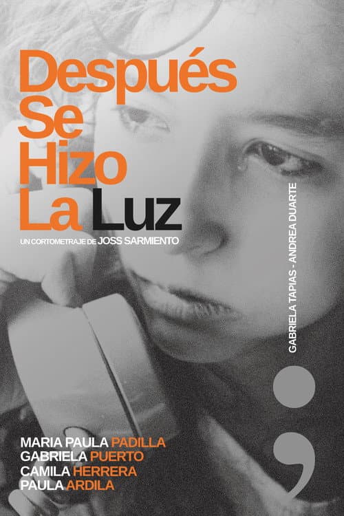 Después Se Hizo La Luz (2026) poster