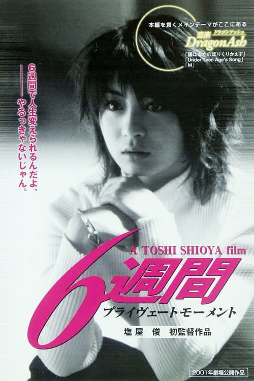 6週間プライヴェートモーメント (2001) poster