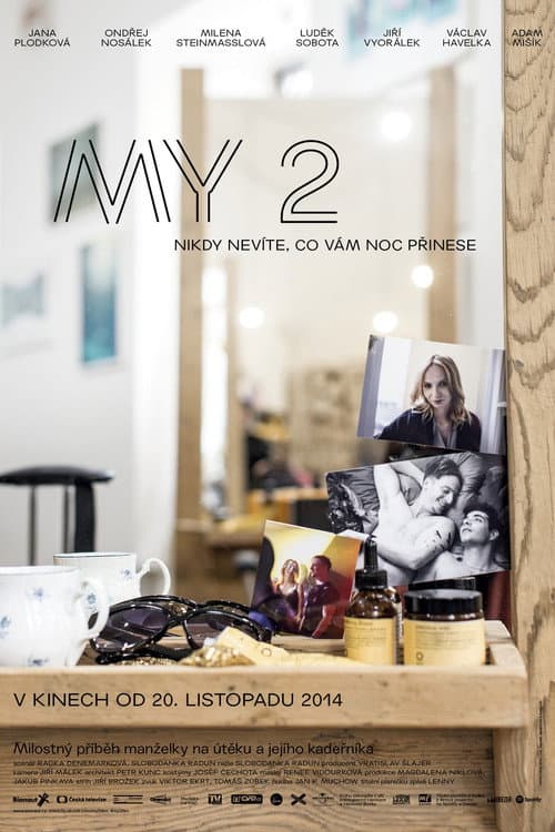 MY 2 (2014) poster