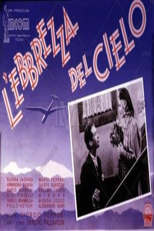 L'ebbrezza del cielo (1940) poster
