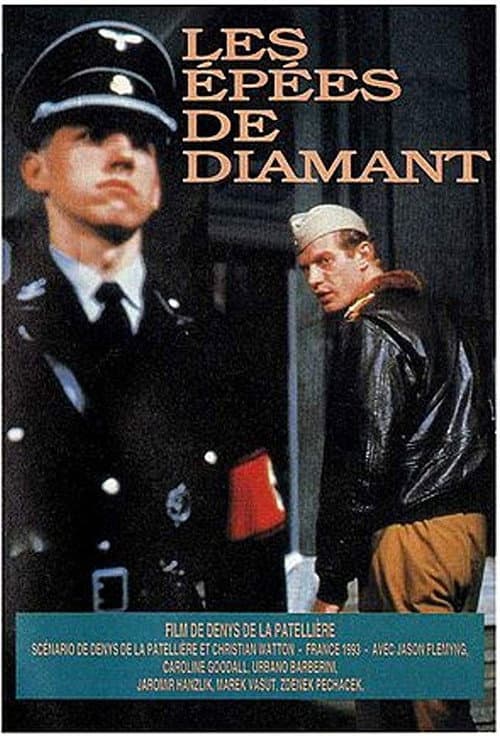 Les épées de diamant (1993) poster