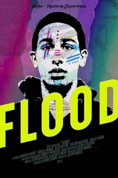 Flood (2019) poster