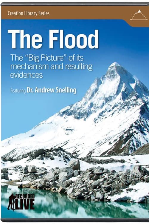 The Flood (2009) poster