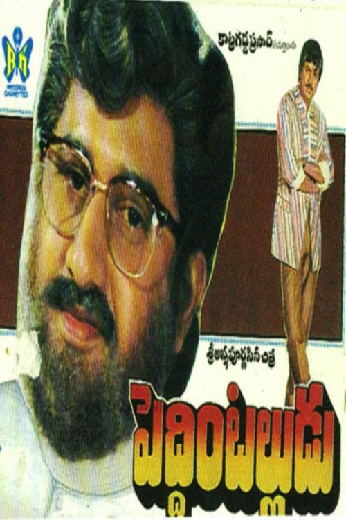 Peddinti Alludu (1991) poster