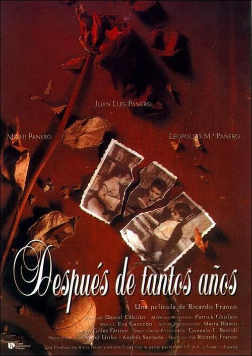 Después de tantos años (1994) poster