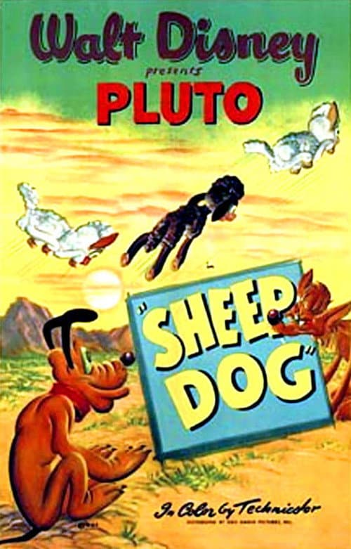 Sheep Dog (1949) poster